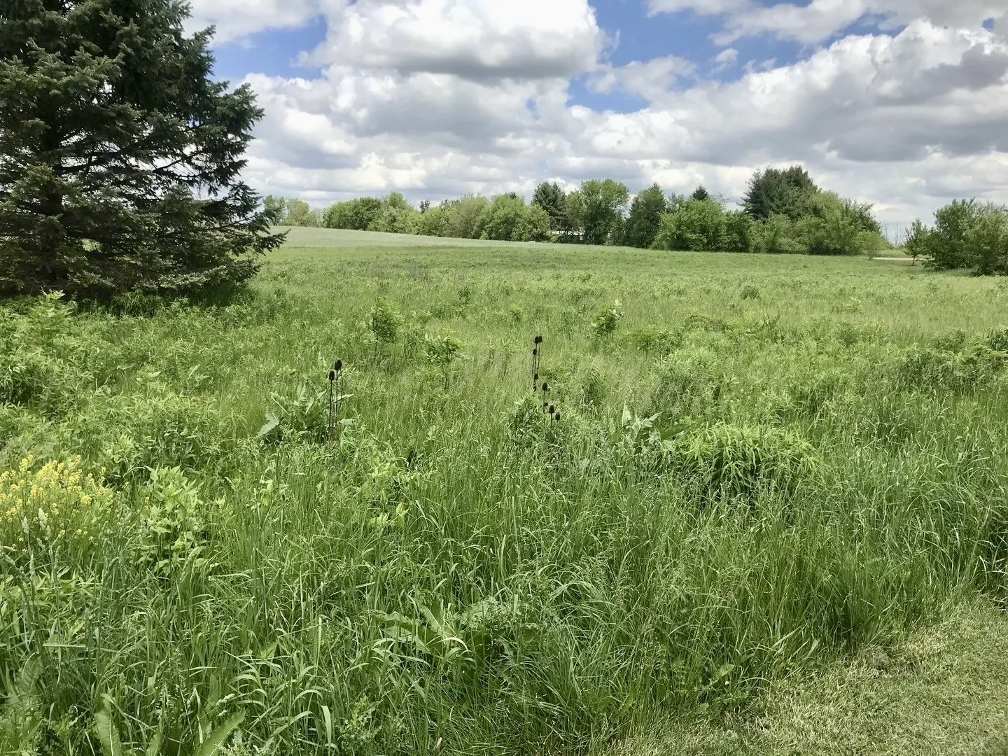 a view of an outdoor space and a yard