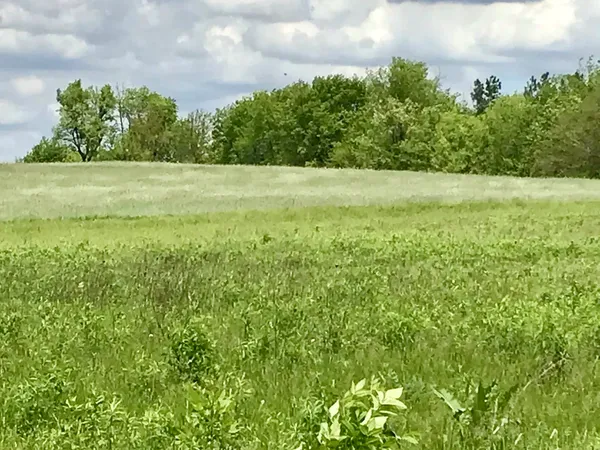 a view of a field with an outdoor space