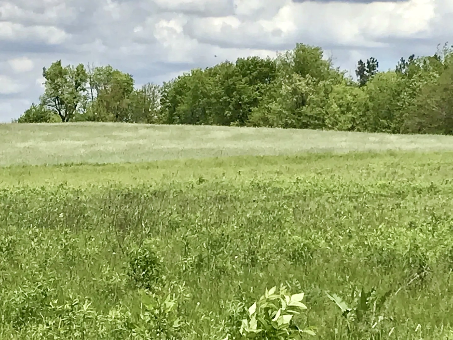 0 Lot 2 Ratfield Road Marengo, IL 60152 - Photo 3 of 3 a view of a field with an outdoor space