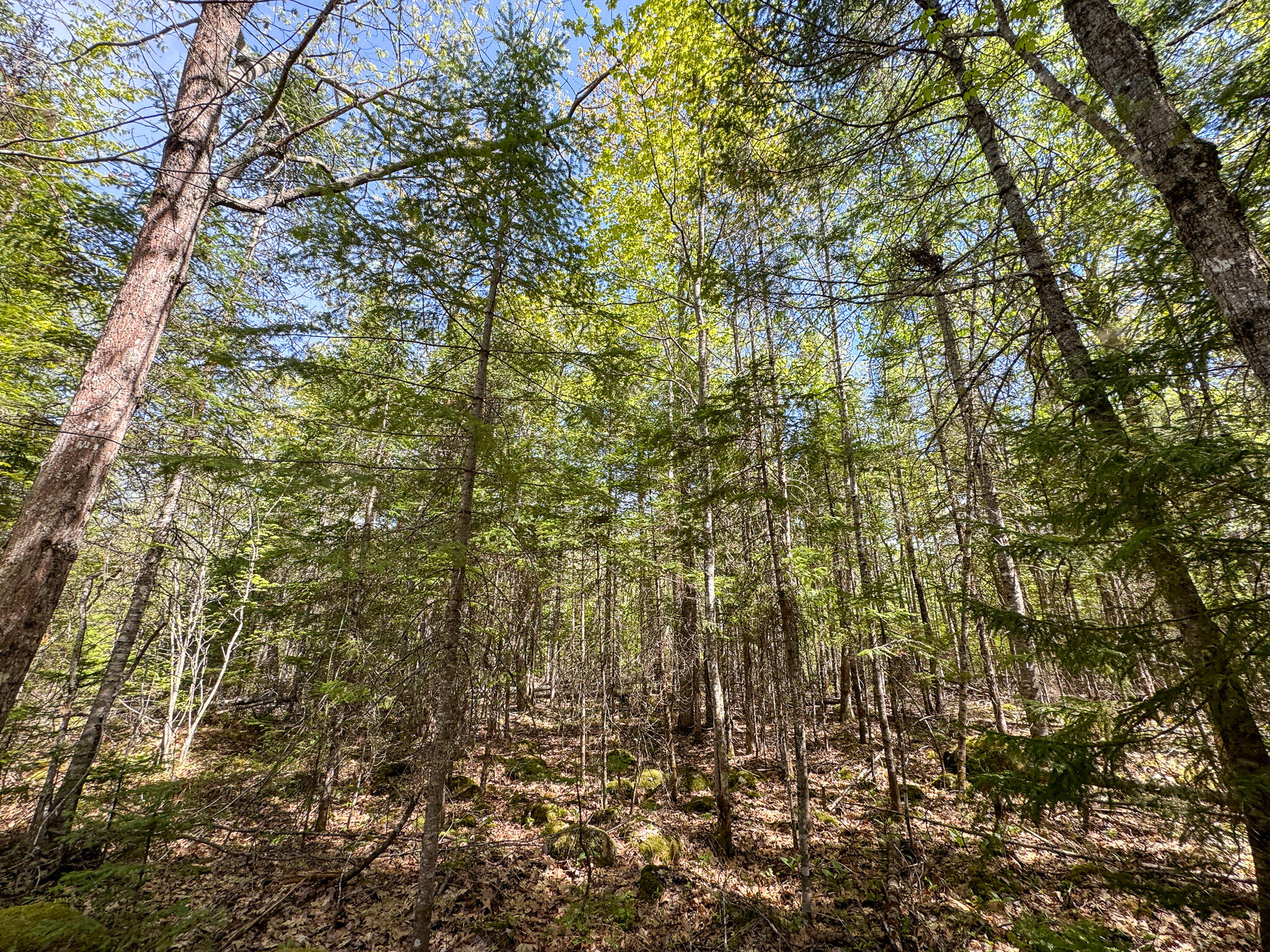 M2-l11-4 West Indian Road Lincoln, ME 04457 - Photo 25 of 27 26