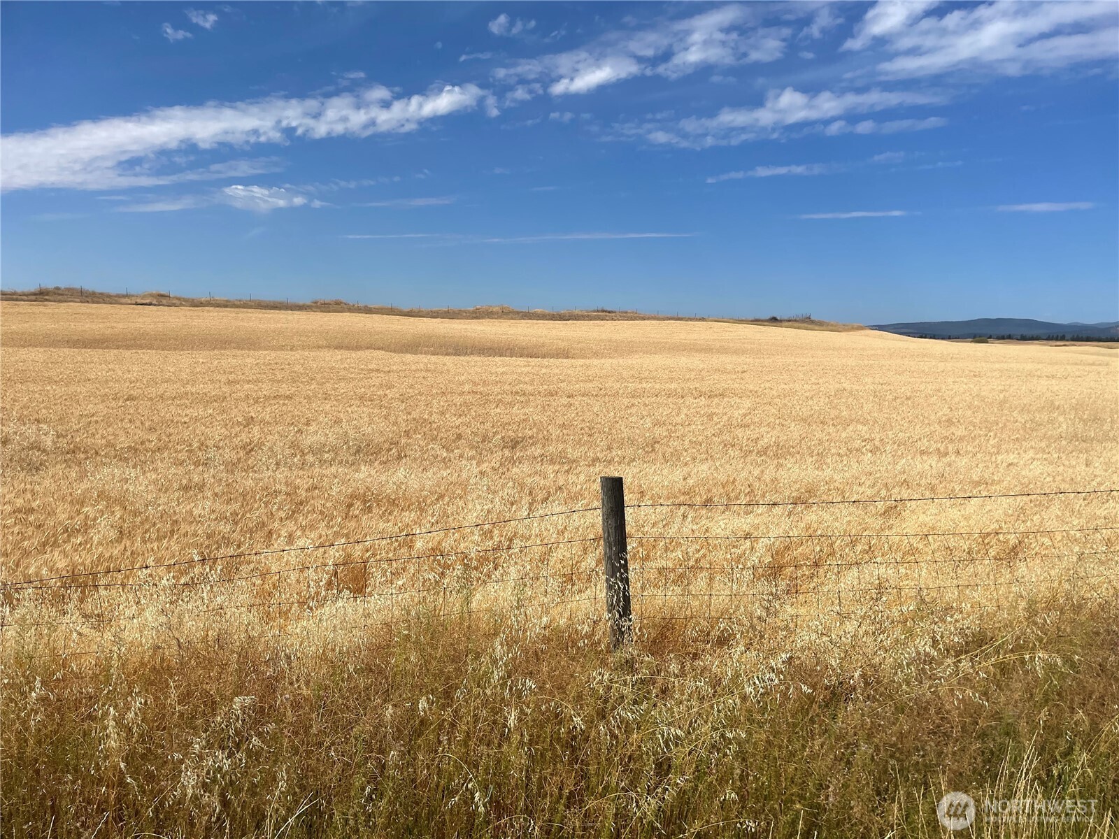 35251 Crescent Road North, Unit 5 Reardan, WA 99029 - Photo 12 of 21 a view of an ocean