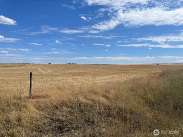 a view of an ocean beach