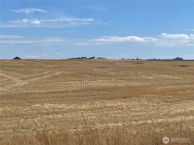 a view of an ocean and beach