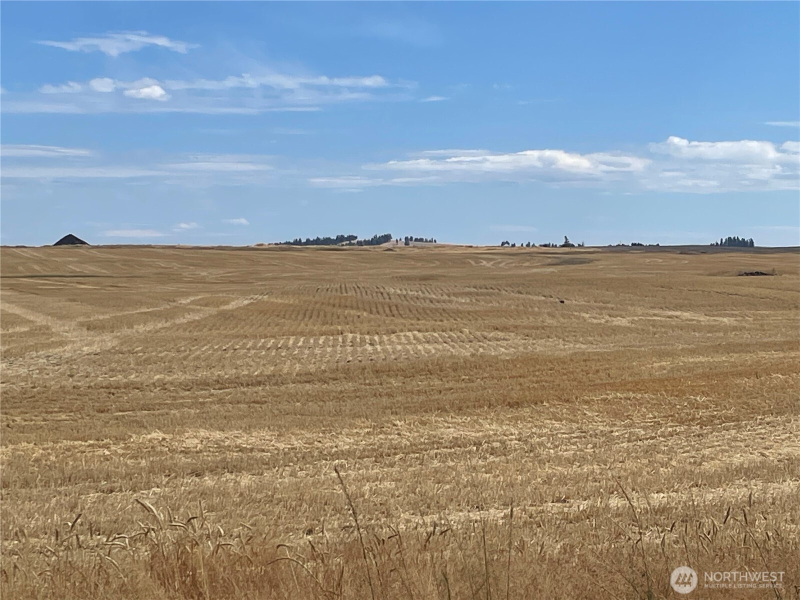 35251 Crescent Road North, Unit 5 Reardan, WA 99029 - Photo 16 of 21 a view of an ocean and beach