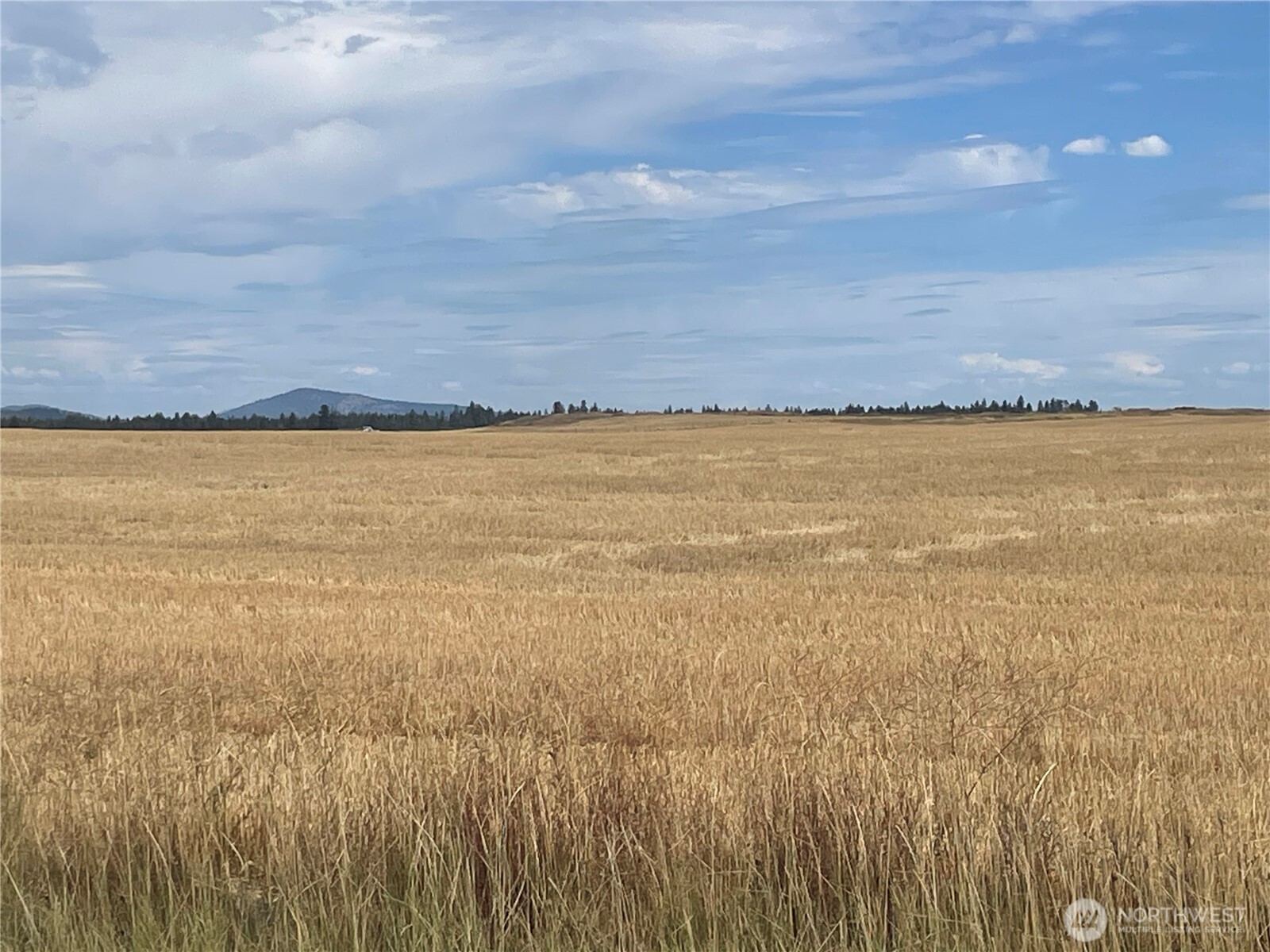 35251 Crescent Road North, Unit 5 Reardan, WA 99029 - Photo 17 of 21 a view of an ocean