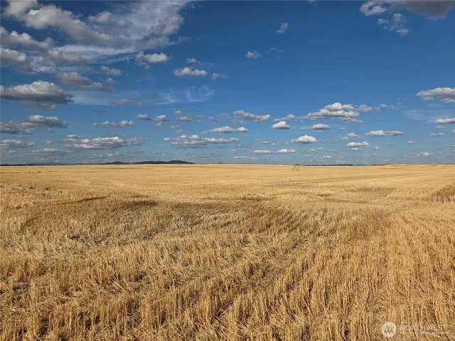 a view of an ocean and a yard