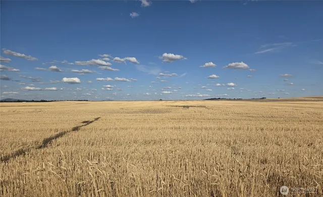 a view of an ocean and a yard