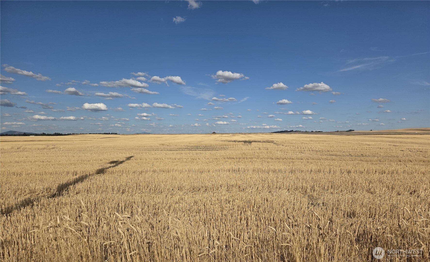 35251 Crescent Road North, Unit 5 Reardan, WA 99029 - Photo 8 of 21 a view of an ocean and a yard