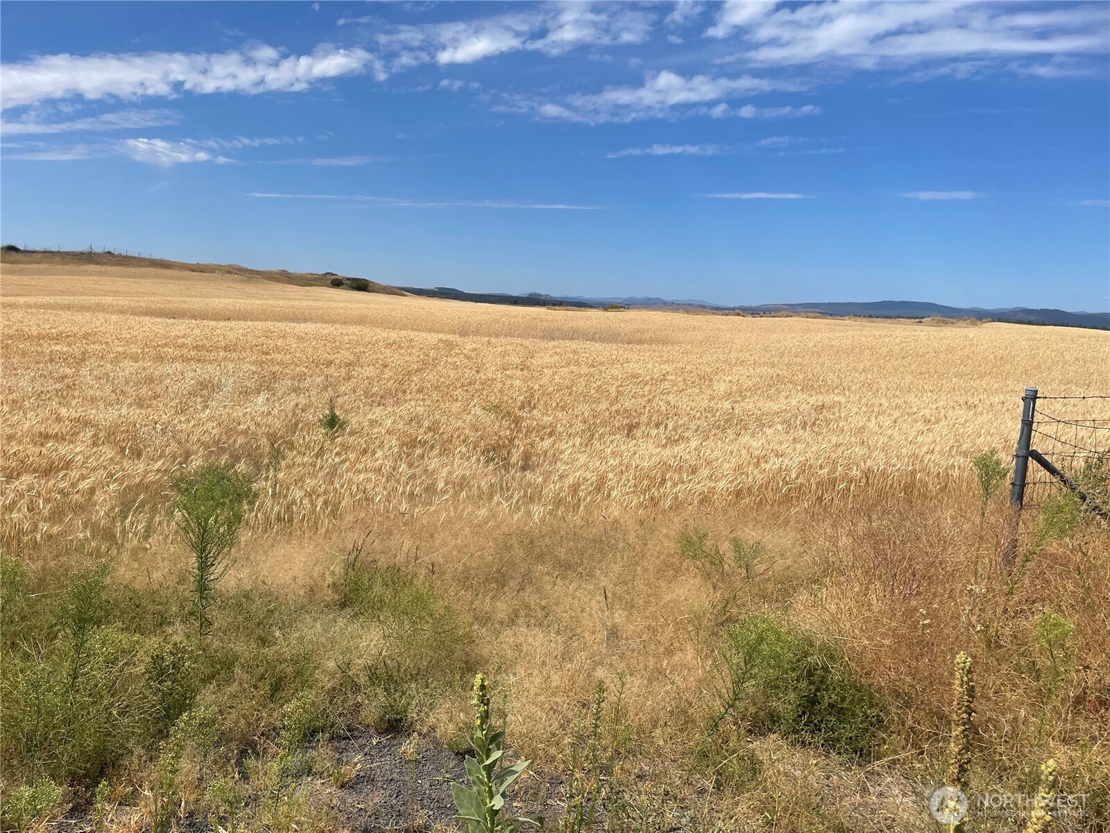 35251 Crescent Road North, Unit 5 Reardan, WA 99029 - Photo 10 of 21 a view of an ocean