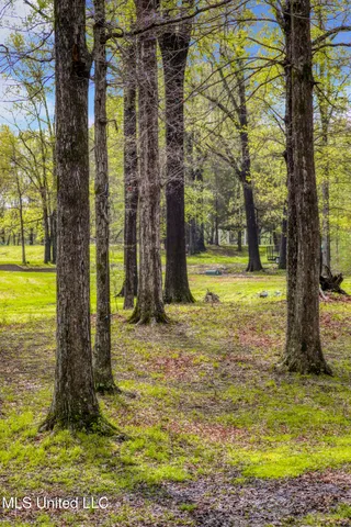 $445,900 | 4630 Alexander Road, Olive Branch, MS 38654