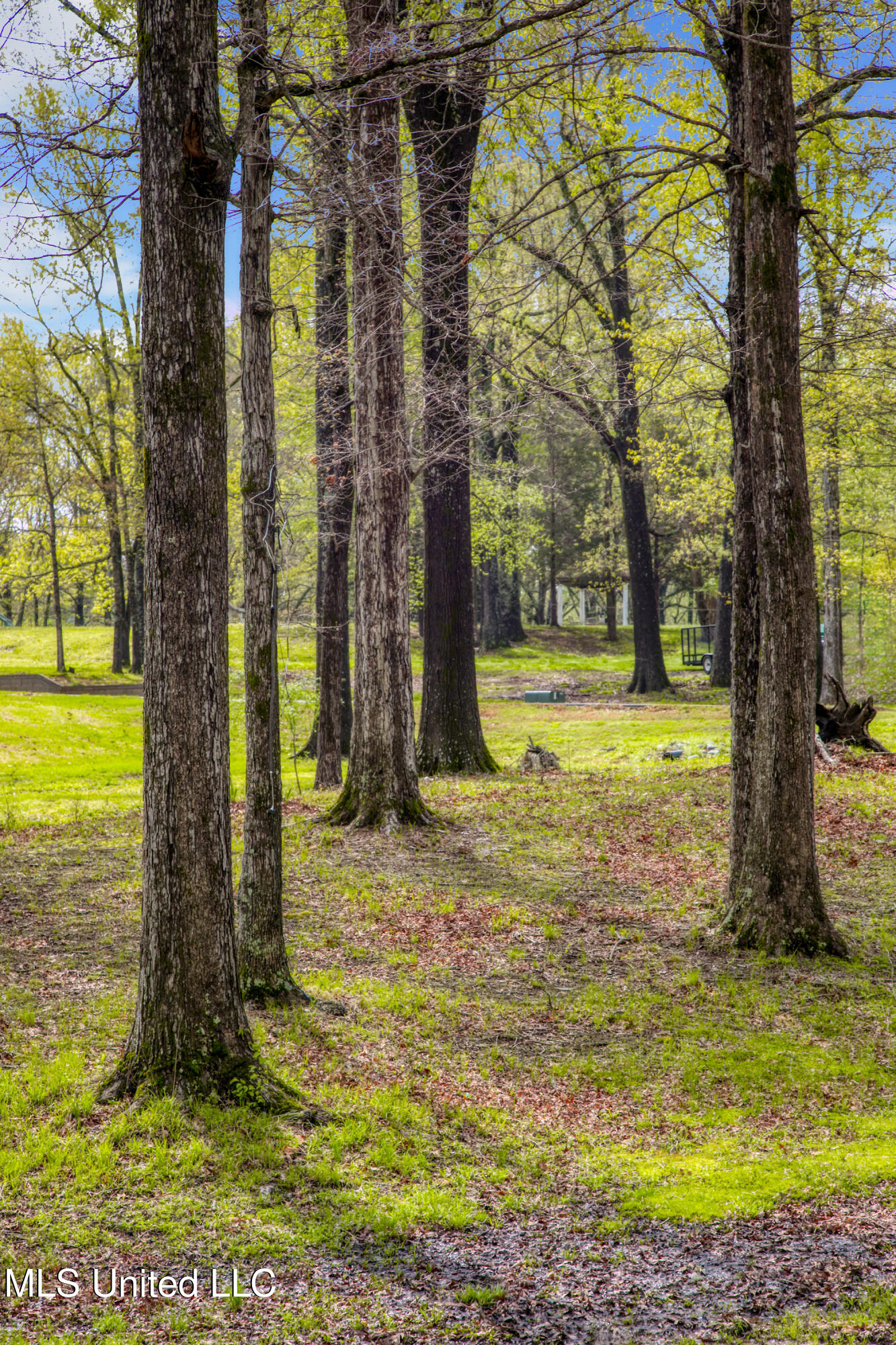 4630 Alexander Road Olive Branch, MS 38654 - Photo 5 of 50 4630 AlexanderRoad04