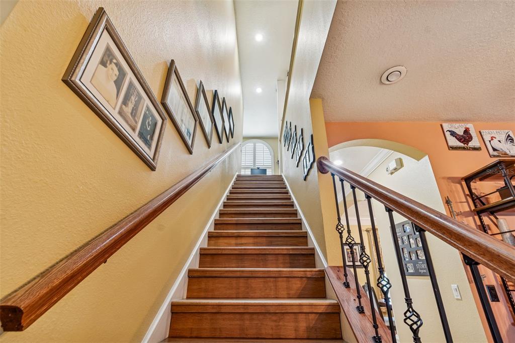 2921 Lampp Road Plant City, FL 33565 - Photo 52 of 100