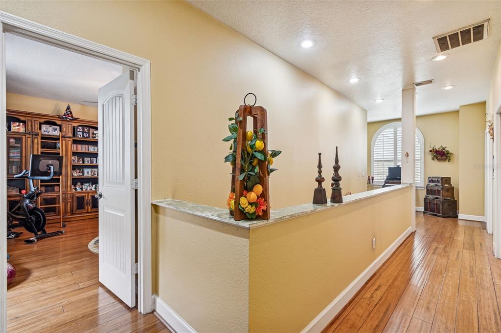 2921 Lampp Road Plant City, FL 33565 - Photo 62 of 100