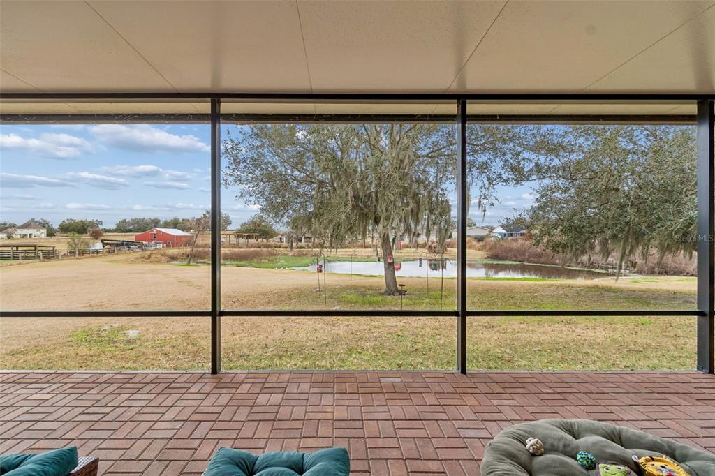 2921 Lampp Road Plant City, FL 33565 - Photo 83 of 100