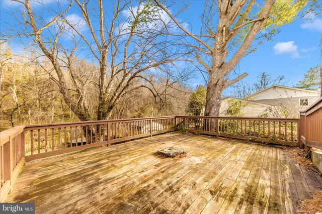 a view of yard with large trees