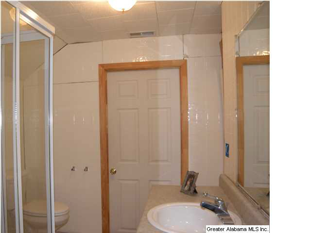 256 Overlook Drive Cleveland, AL 35049 - Photo 25 of 31