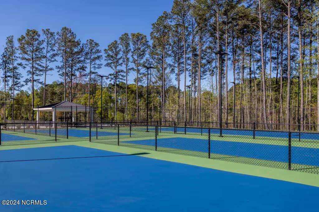 8112 Marsh Foxtail Road, Unit 151 Leland, NC 28479 - Photo 17 of 31 Rendering of Future Amenities/Community