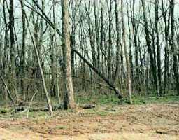 Colton Road, Unit LOT348 Crestwood, KY 40014 - Photo 1 of 1 Primary Photo