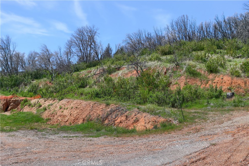4632 Triangle Road Mariposa, CA 95338 - Photo 16 of 26 a view of a dry yard with trees