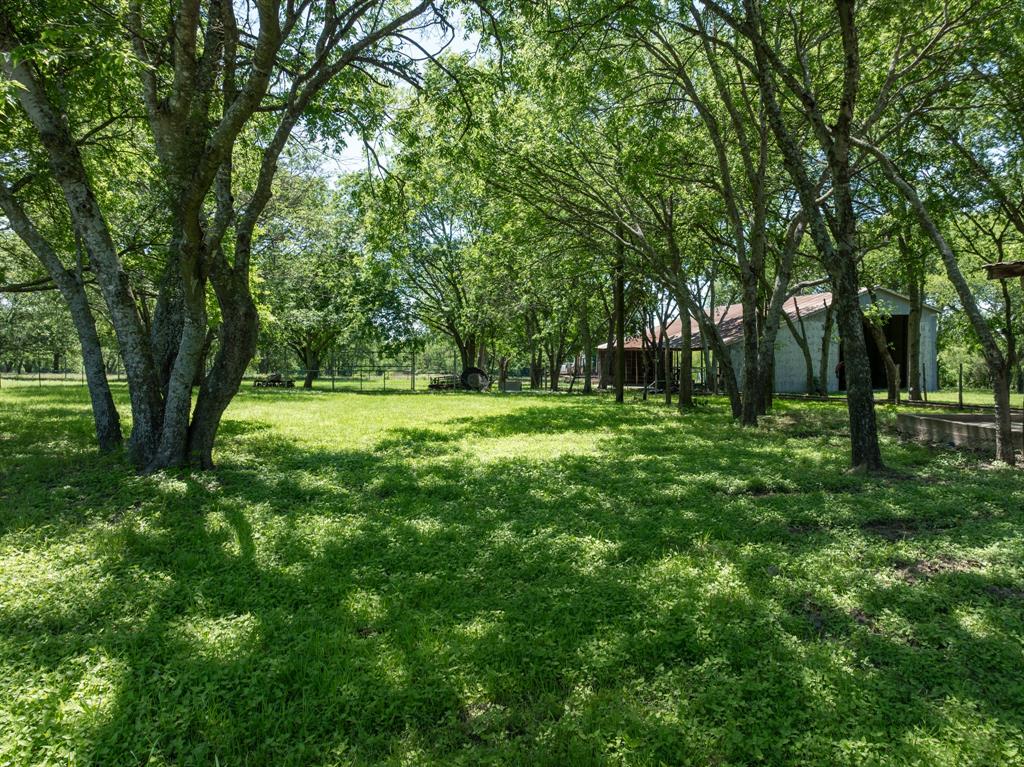 1355 North Houston Street Lorena, TX 76655 - Photo 13 of 40 a view of a park with trees in the background
