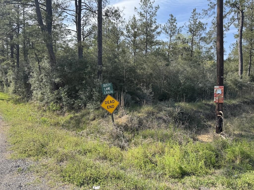 Five 5 Acre Tract Road Buna, TX 77612 - Photo 2 of 13