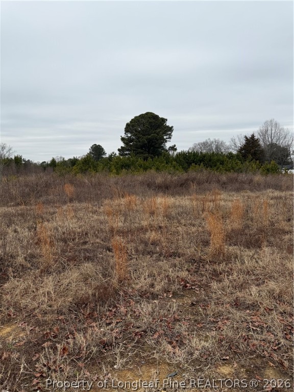 2602 Erwin Road Erwin, NC 28339 - Photo 3 of 6