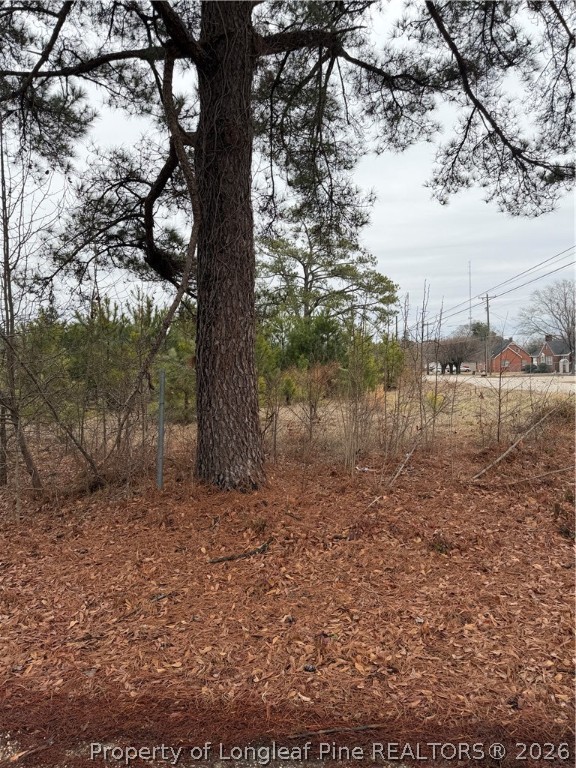 2602 Erwin Road Erwin, NC 28339 - Photo 5 of 6