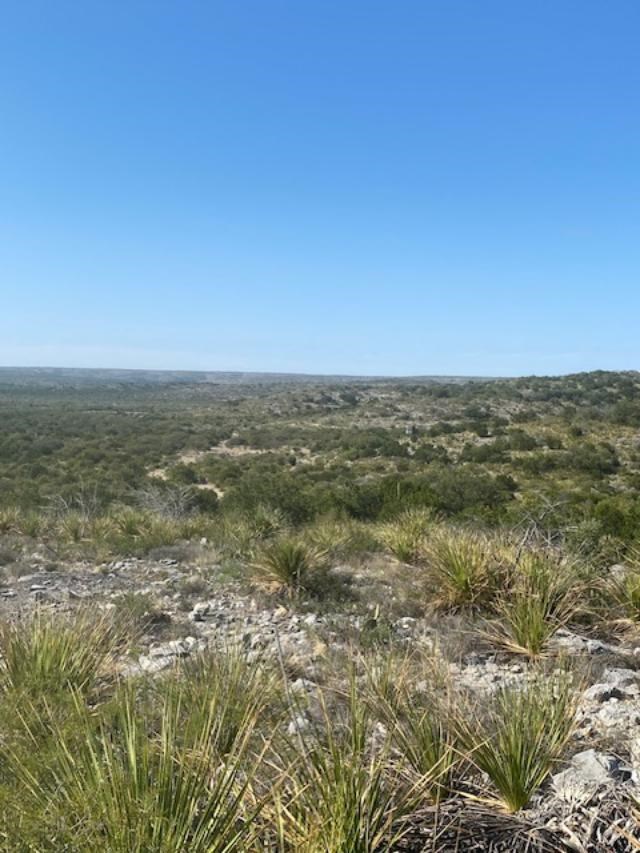 13955 Ranch Road 2523 Del Rio, TX 78840 - Photo 41 of 77