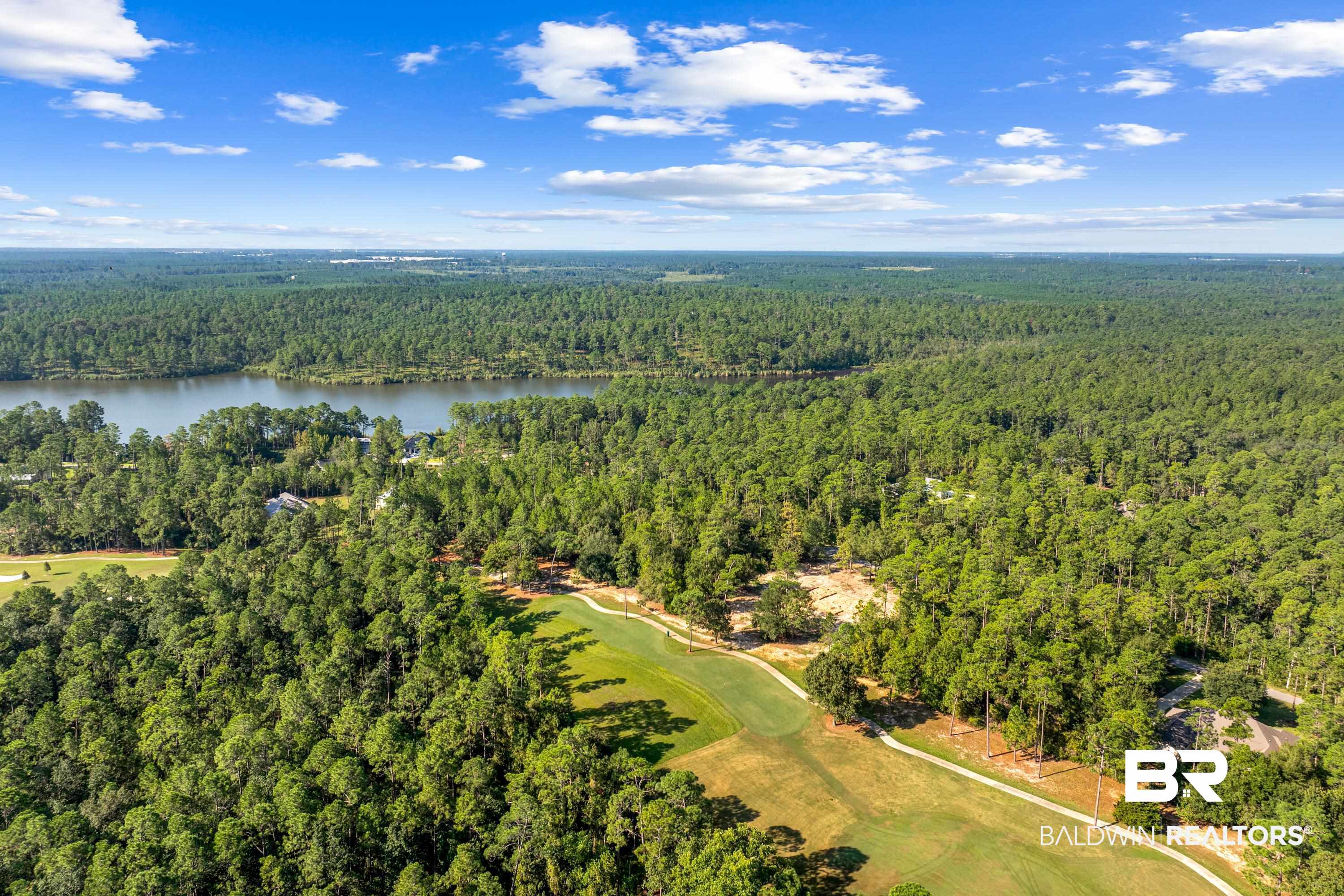 Lot 16 Steelwood Ridge Road Loxley, AL 36551 - Photo 4 of 19