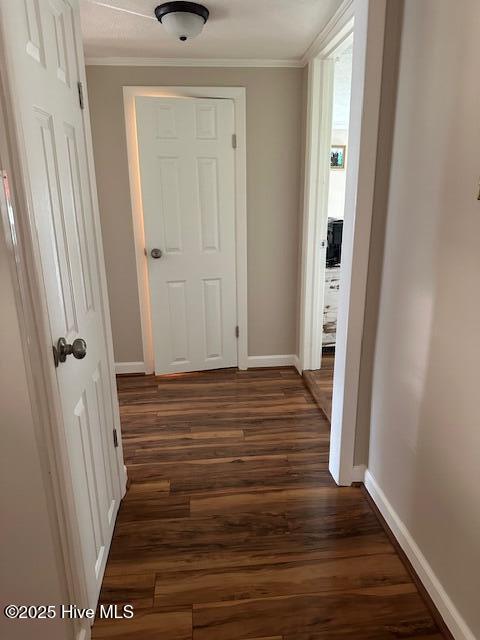 4998 Peacock Road Whiteville, NC 28472 - Photo 46 of 81 IMG_2814