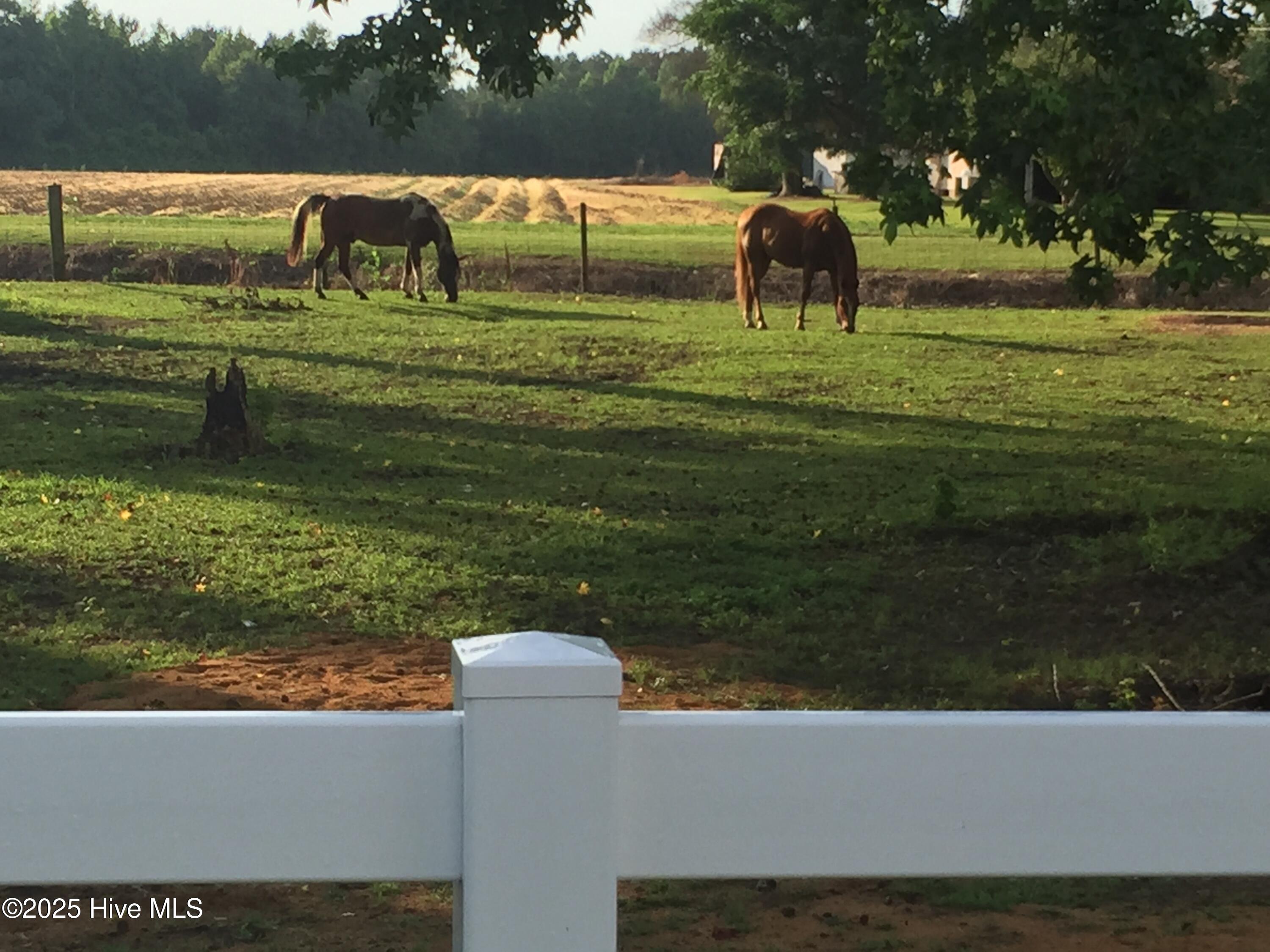 4998 Peacock Road Whiteville, NC 28472 - Photo 79 of 81 IMG_0512