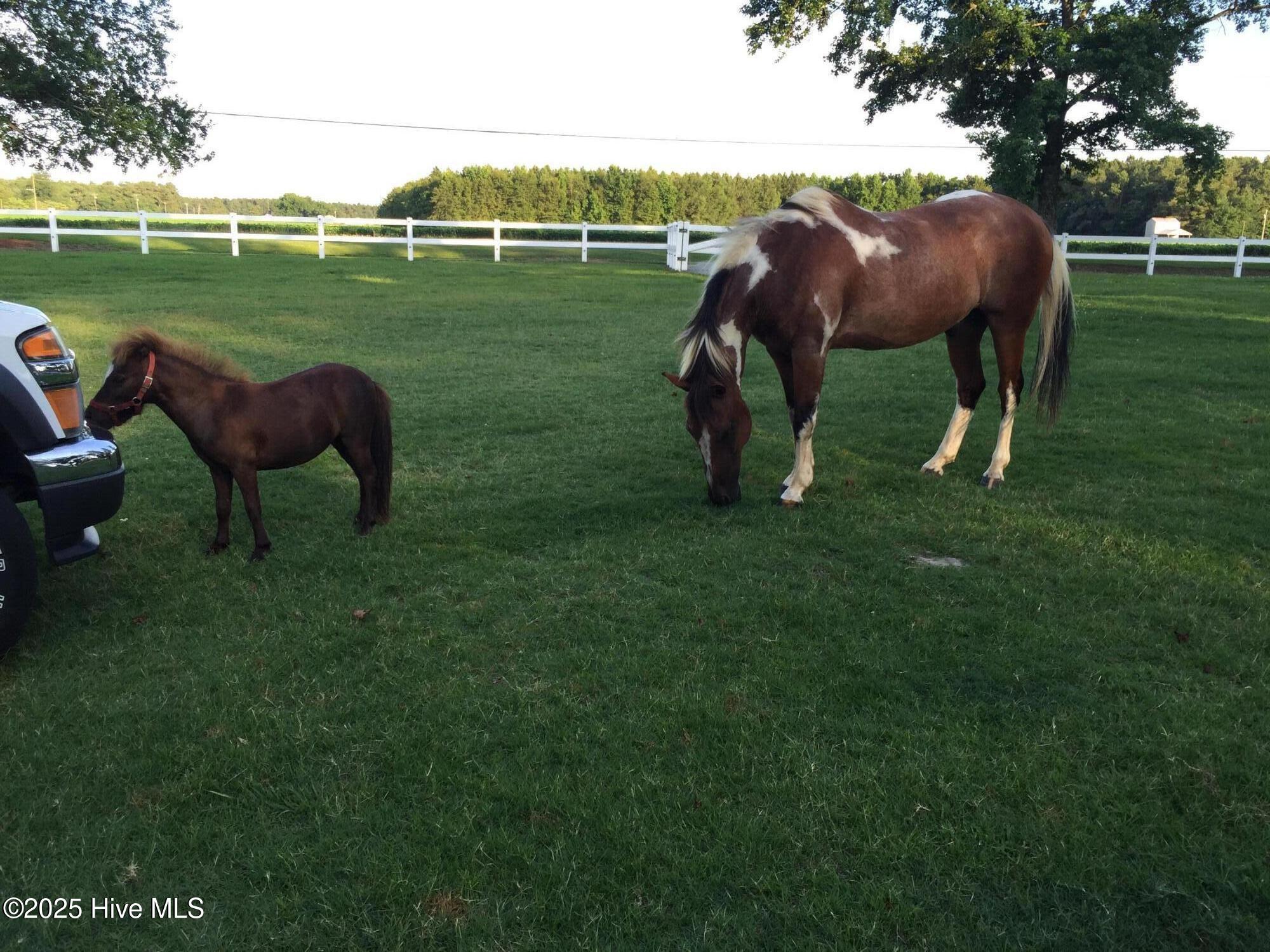 4998 Peacock Road Whiteville, NC 28472 - Photo 80 of 81 IMG_0778