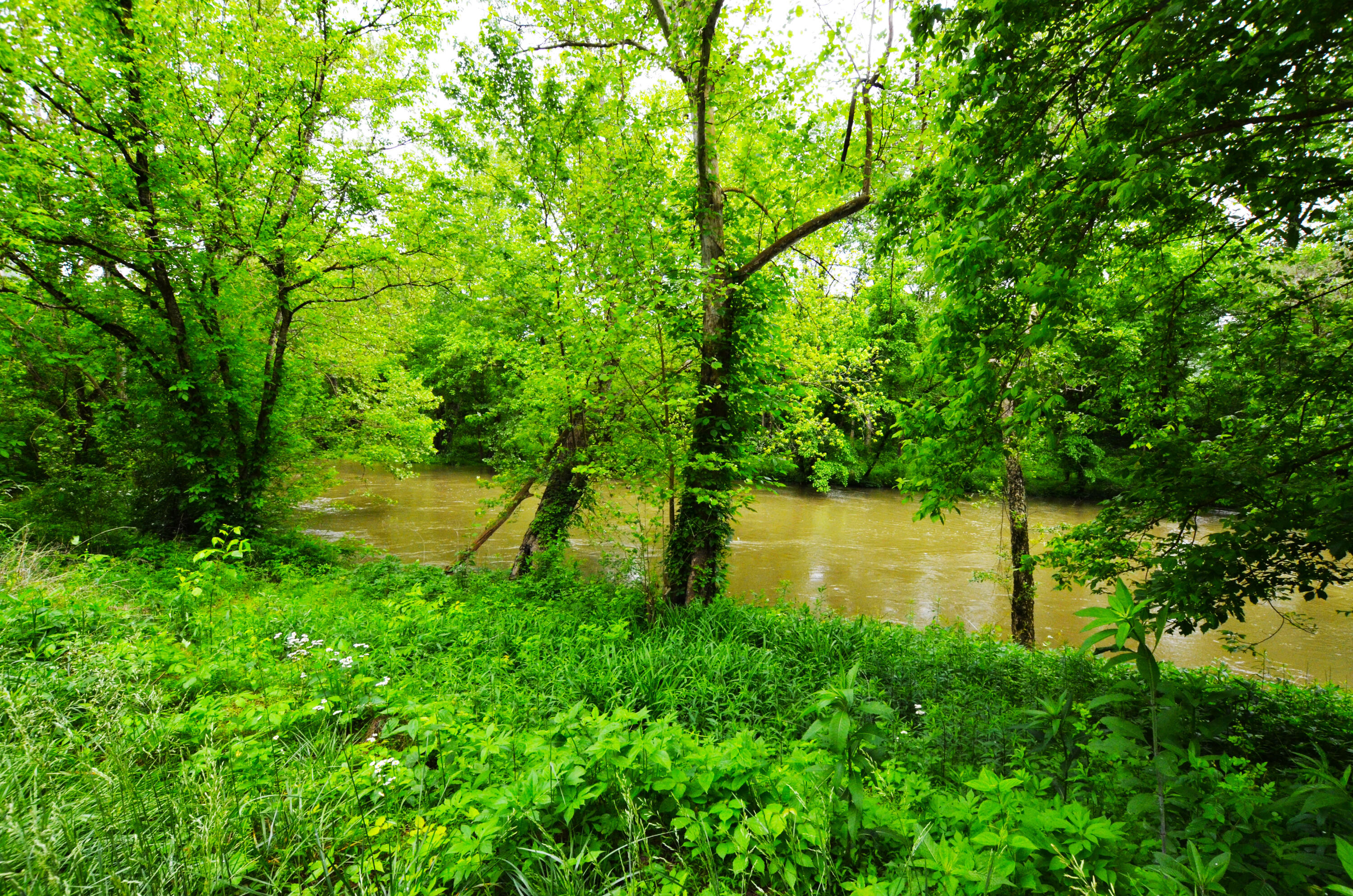 73 Butter Point Road Jackson, KY 41339 - Photo 3 of 10 Located on the Middle Fork River with the ability to float downstream into the Kentucky River and take out at the Beattyville boat ramp, offering a true start to finish river experience right from your property!
