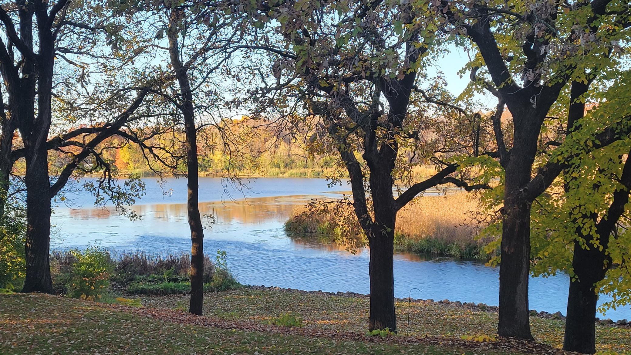 2835 Lindgren Lane Independence, MN 55359 - Photo 5 of 45