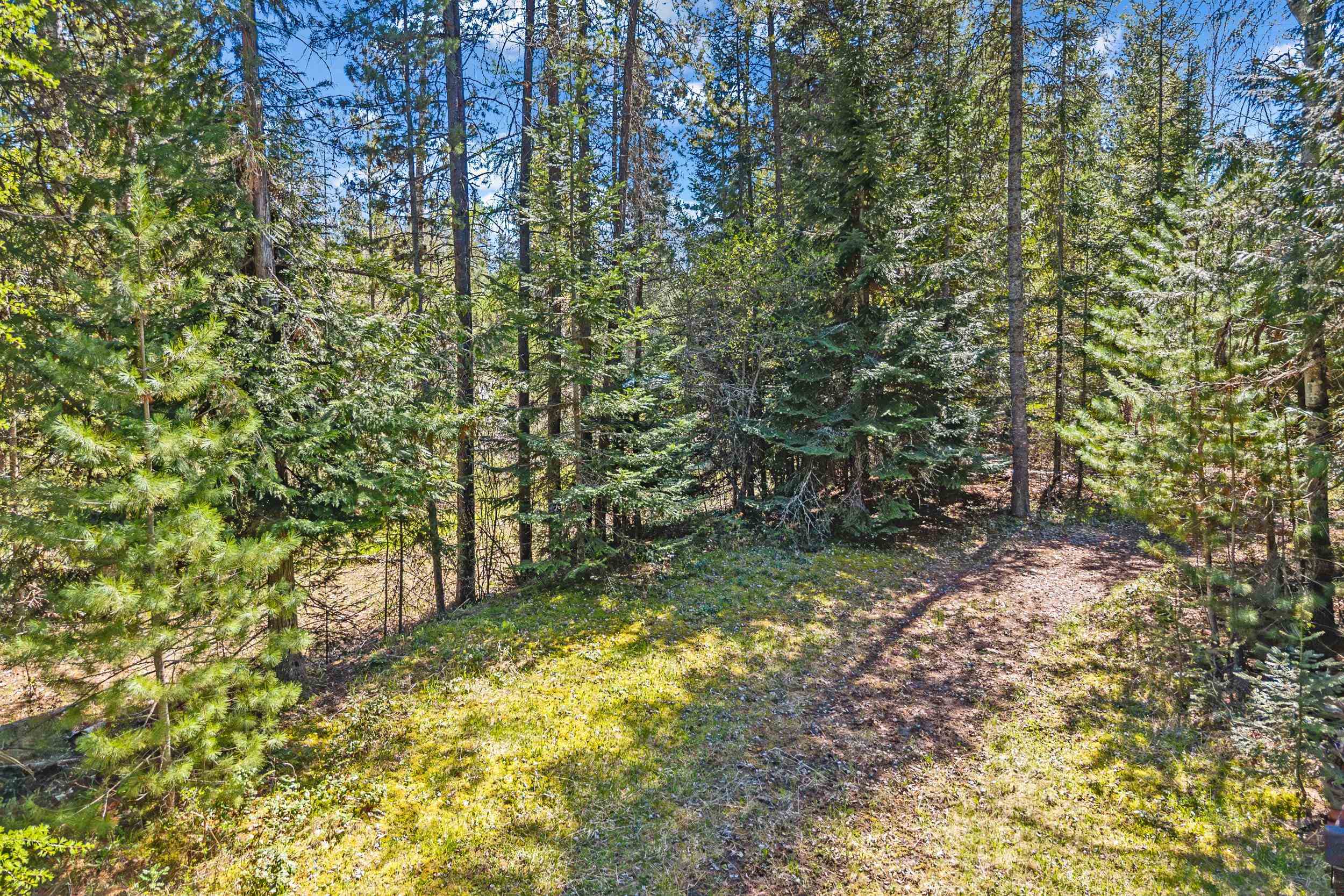 305 Bockman Road Ione, WA 99139 - Photo 45 of 49