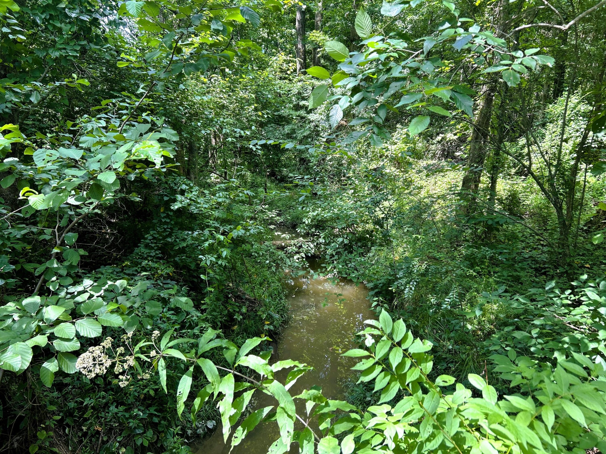 1314 Hughes Lake Road Southeast Cleveland, TN 37323 - Photo 1 of 20