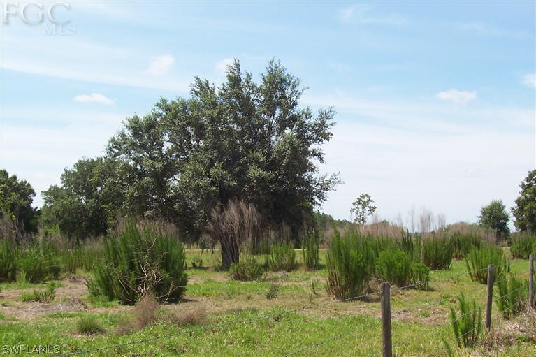 4532 Loblolly Bay Road Southwest LaBelle, FL 33935 - Photo 4 of 4 Gallery Image 4