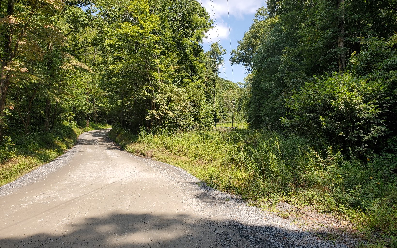 0 Bushy Head Road Cherry Log, GA 30522 - Photo 1 of 15 a view of a yard with plants and trees