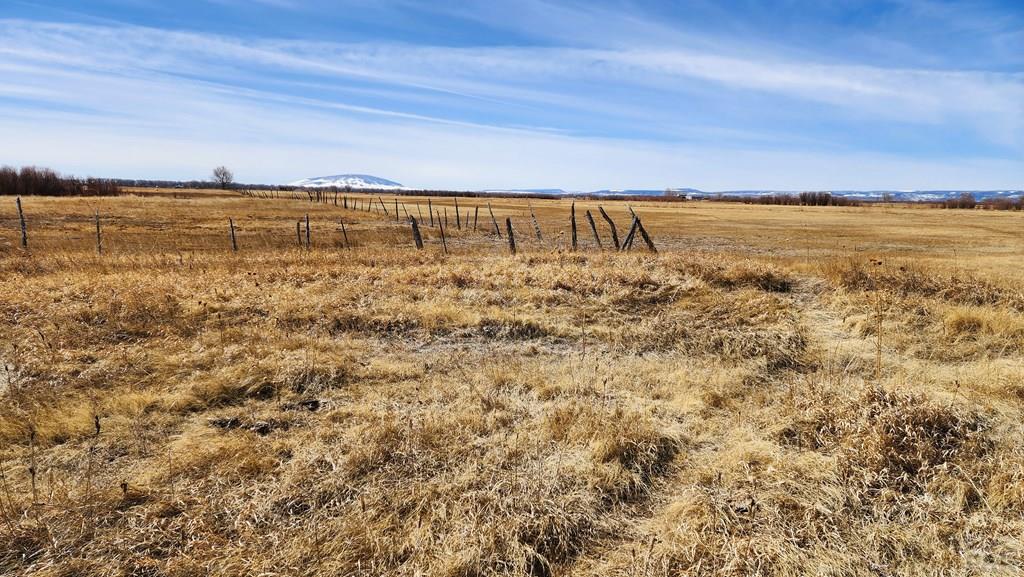 0 County Road Manassa, CO 81141 - Photo 11 of 20
