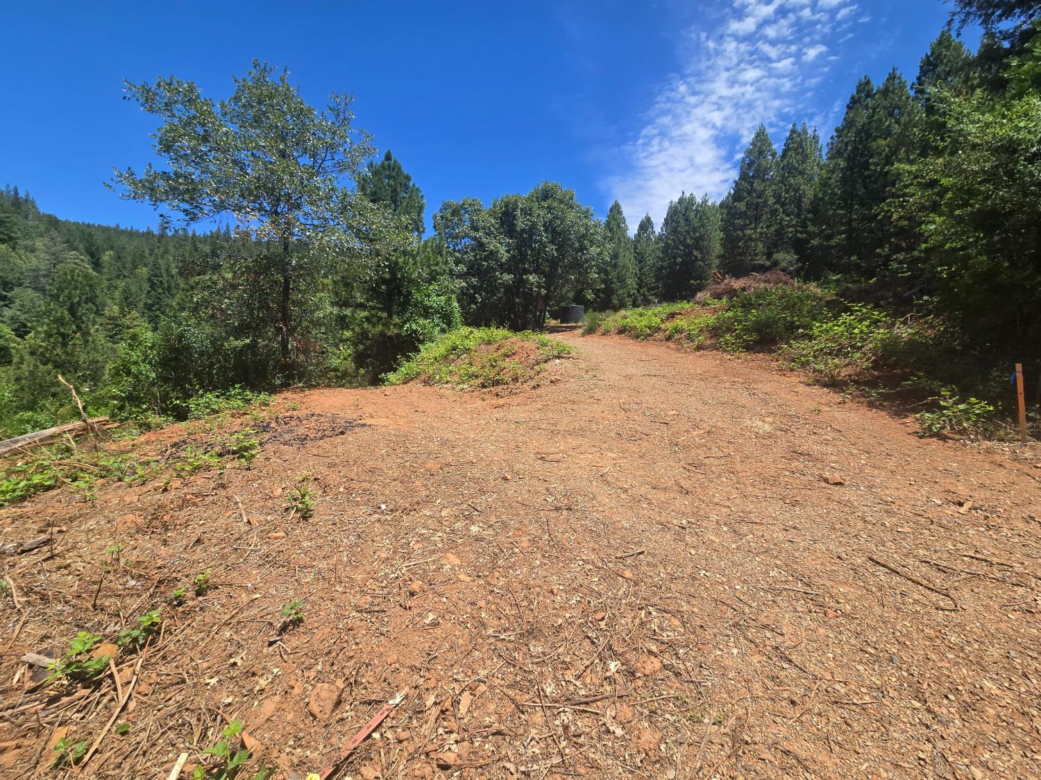 0 Maple Springs Trail Dobbins, CA 95935 - Photo 1 of 22
