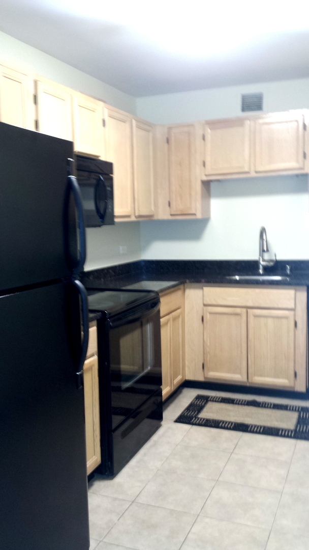 200 North Dearborn Street, Unit 1908 Chicago, IL 60601 - Photo 11 of 23 a kitchen with granite countertop a stove and a sink