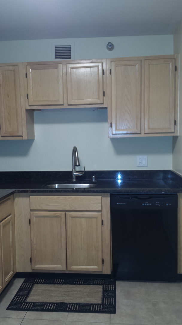 200 North Dearborn Street, Unit 1908 Chicago, IL 60601 - Photo 12 of 23 a kitchen with a sink and cabinets