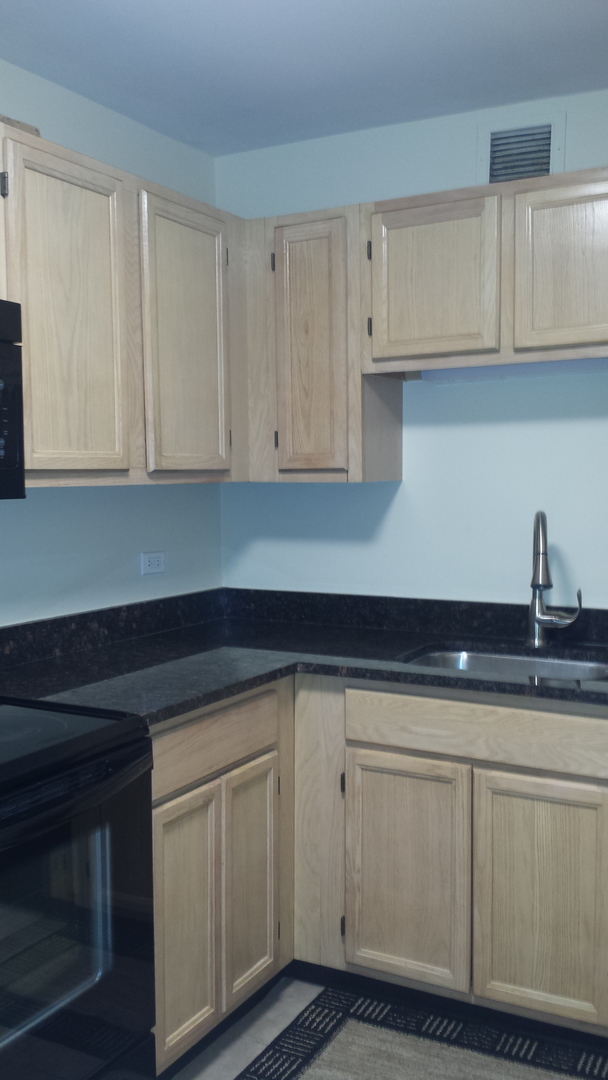 200 North Dearborn Street, Unit 1908 Chicago, IL 60601 - Photo 13 of 23 a kitchen with white cabinets and sink