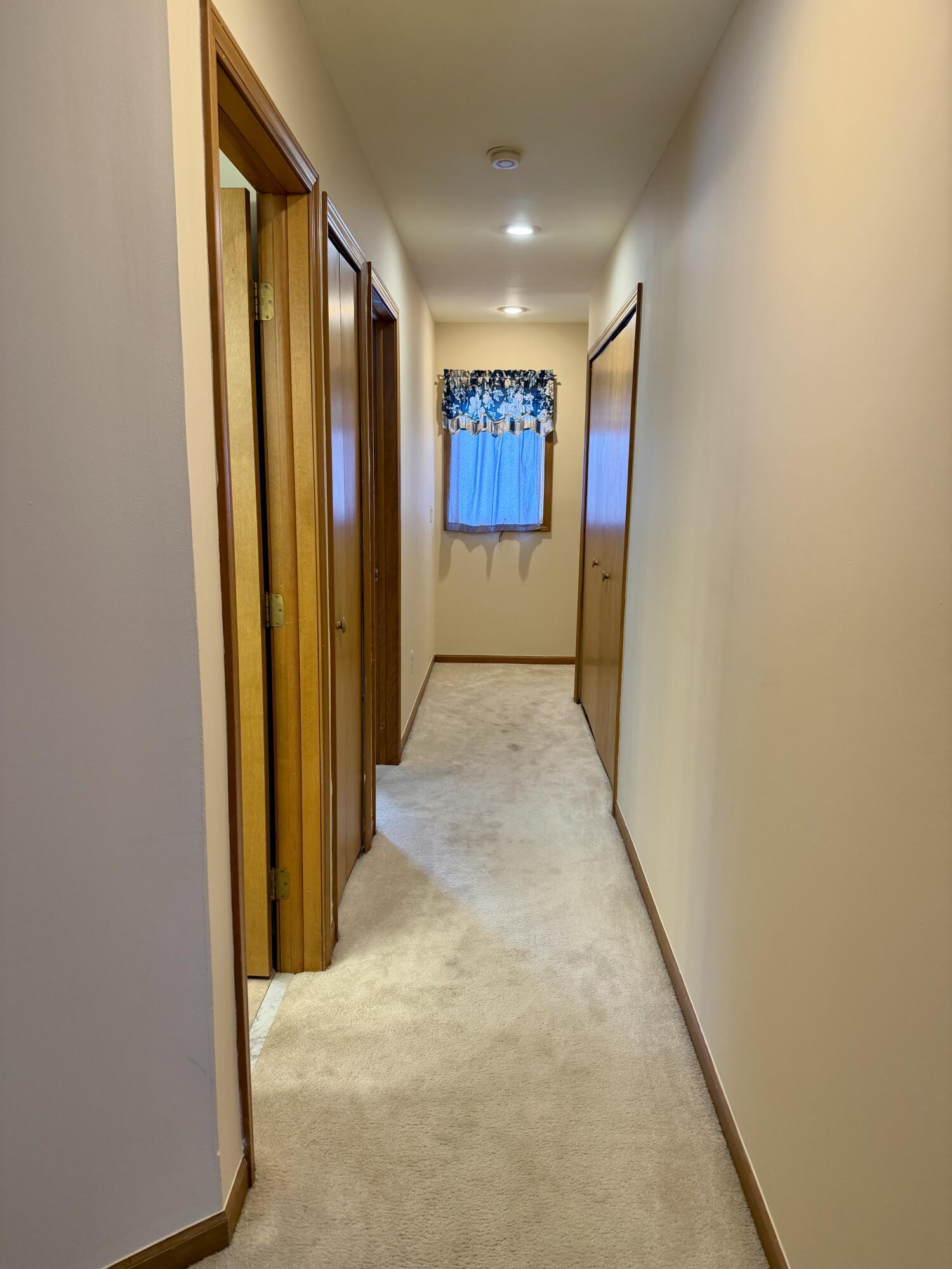 911 Moore Drive Chelsea, MI 48118 - Photo 22 of 30 IMG_0732 2