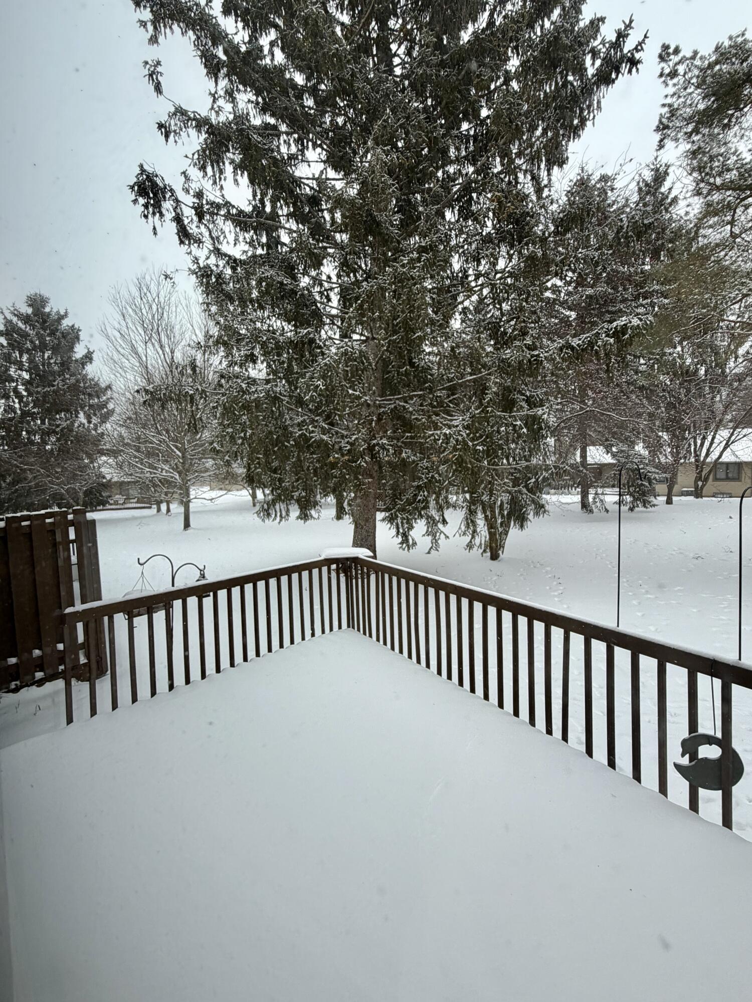 911 Moore Drive Chelsea, MI 48118 - Photo 6 of 30 IMG_0746