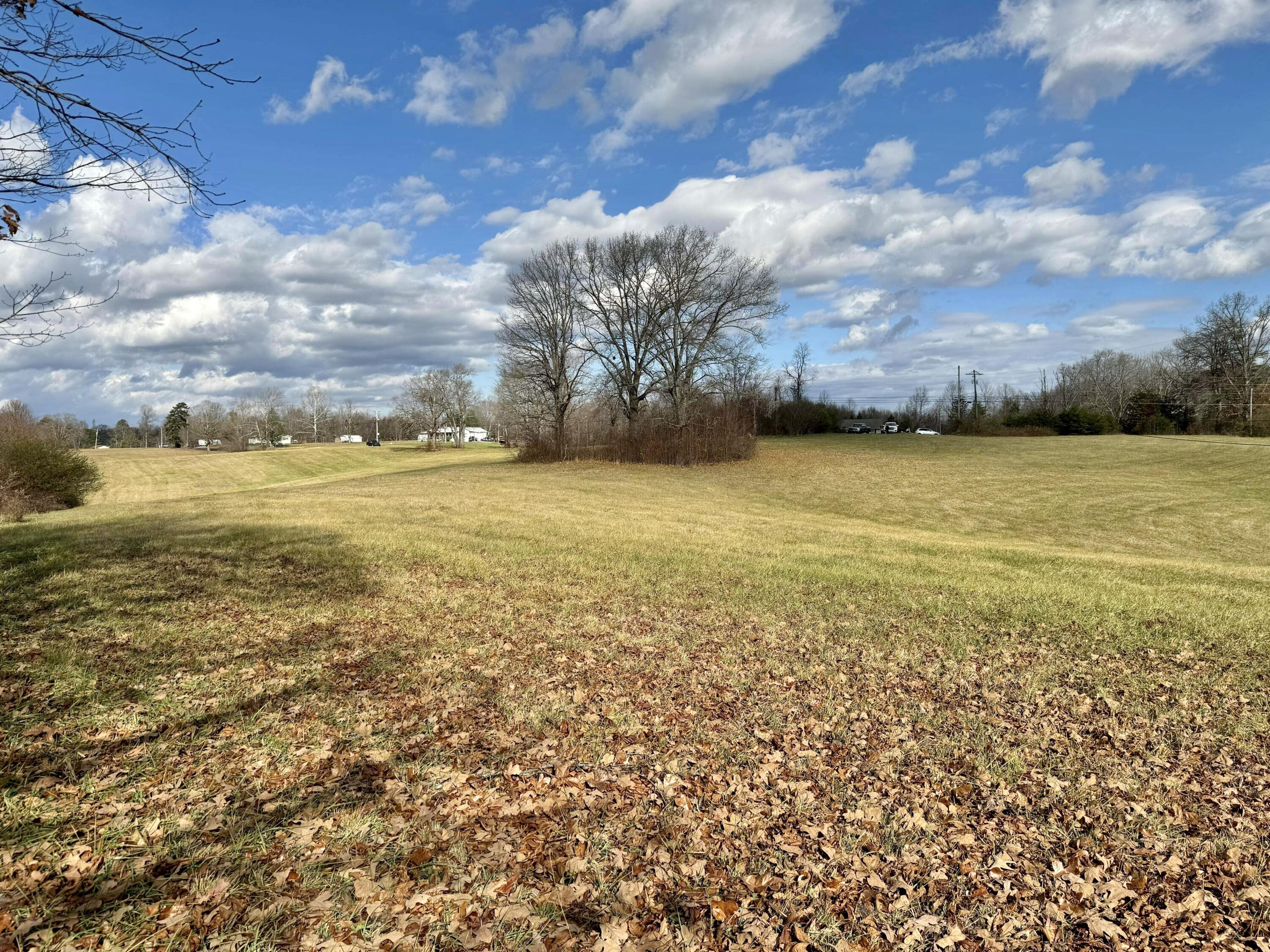 1139 Mt Pleasant Rd Pine Strunk, KY 42649 - Photo 7 of 12 B4B60169-2899-4ABA-957F-588B204330EC