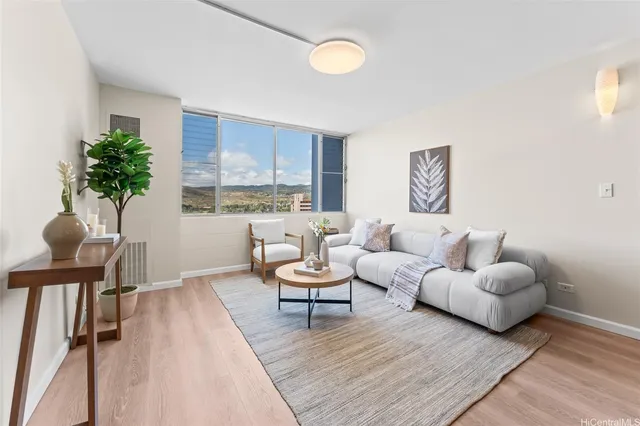 a living room with furniture and a potted plant