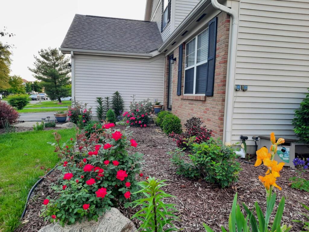 1372 Tera Alta Road Columbus, OH 43207 - Photo 2 of 40 01