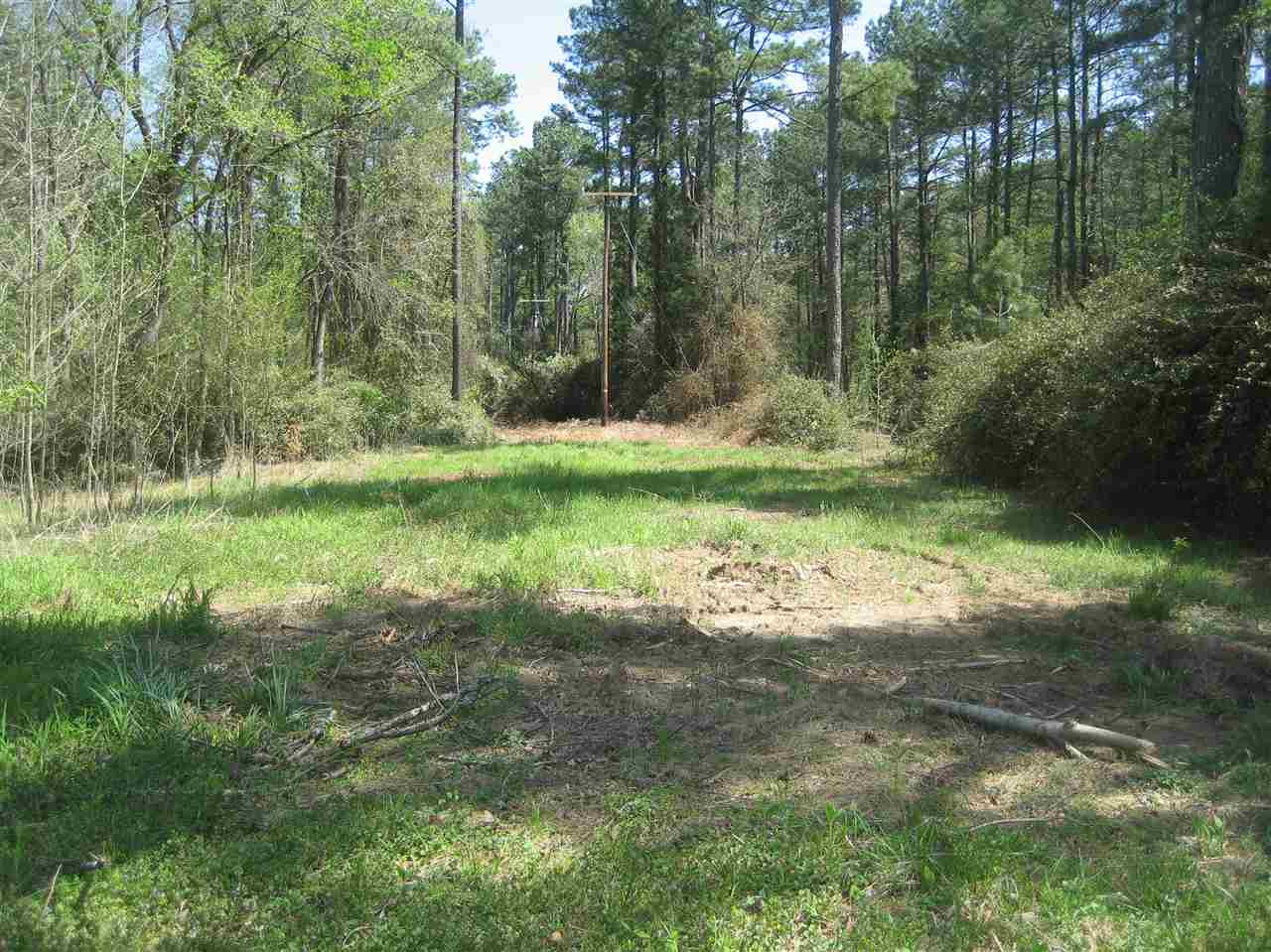 Ridge Road Durham, NC 27705 - Photo 6 of 8 Standing on property looking NW along electric utility cleard right of way to creek area property to NW property line