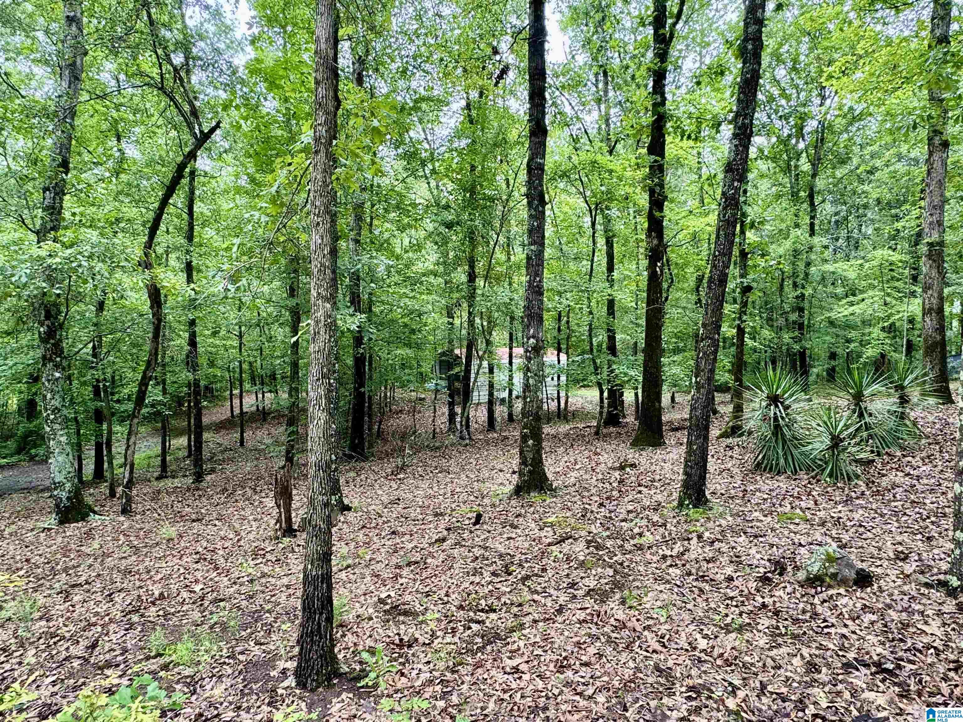 2910 Chelsea Road Columbiana, AL 35051 - Photo 17 of 26 Gallery Image 17